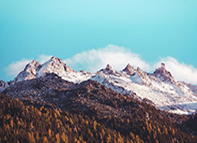 九游体育：把体育热情变成每天的动力